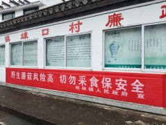 连系当地常见的毒蘑菇种